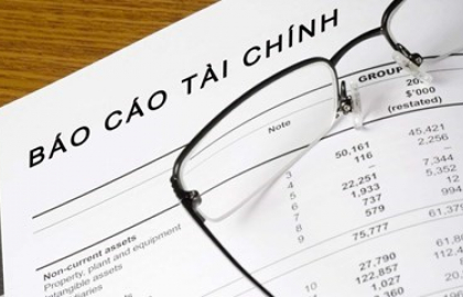 Báo cáo tài chính đã kiểm toán năm 2020